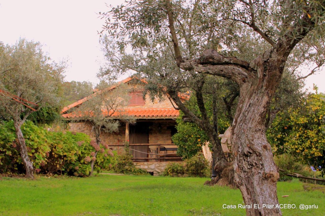 Casa Rural El Pilar Acebo Exterior photo
