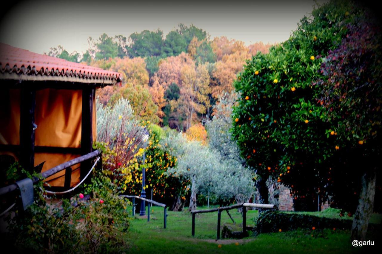Casa Rural El Pilar Acebo Exterior photo